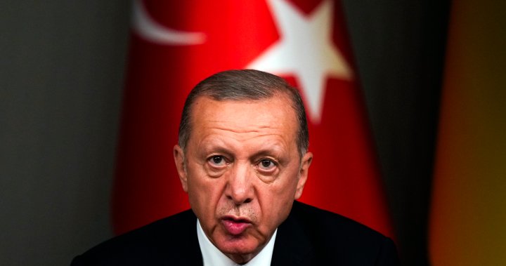 Erdogan ties Sweden’s NATO membership to Turkey’s EU accession - National
