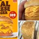 Cheese, please: A no-meat, all-cheese burger debuts at Burger King Thailand - National
