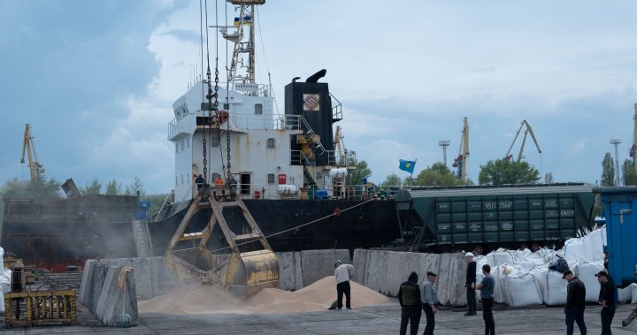 Russia is letting the Black Sea grain deal die. Who will feel it most? - National