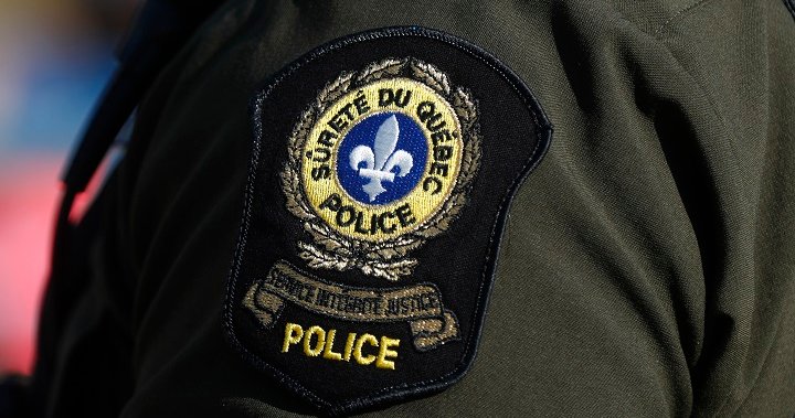 Toddler dies after being struck by vehicle at Quebec campsite: provincial police - Montreal