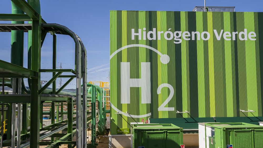EU should replicate joint gas purchases for hydrogen, critical raw materials - Commissioner