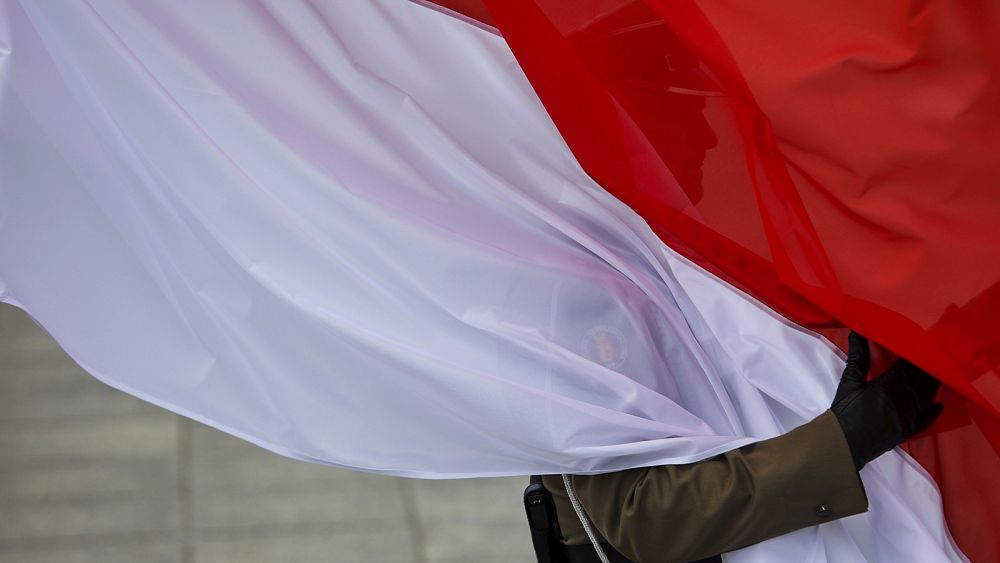 European Parliament calls for a 'full-scale observation mission' in upcoming Polish election