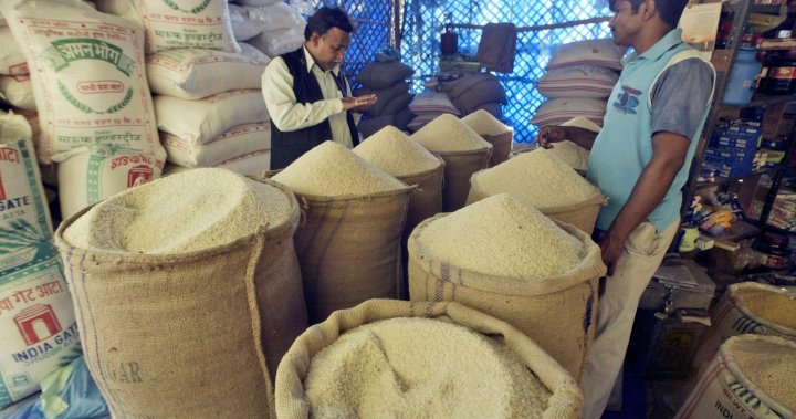 India’s rice ban is affecting Canadians, but some may be panic-buying the wrong variety - National