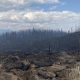 Adams Lake wildfires remaining steady in size - Okanagan