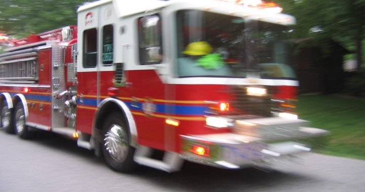 Three pets dead after house goes up in flames - Winnipeg