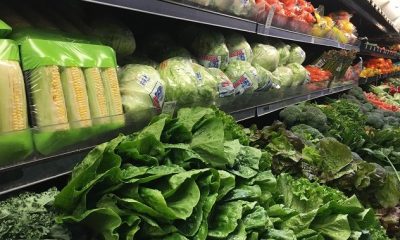 42 per cent usage increase of Regina Food Bank