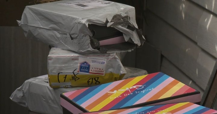 B.C. woman receives dozens of Amazon packages she never ordered