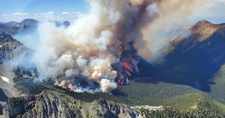 Poor air quality from wildfires prompts 41 alerts in B.C.