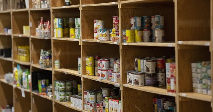 Ottawa Food Bank forced to turn down volunteers due to donation shortfall