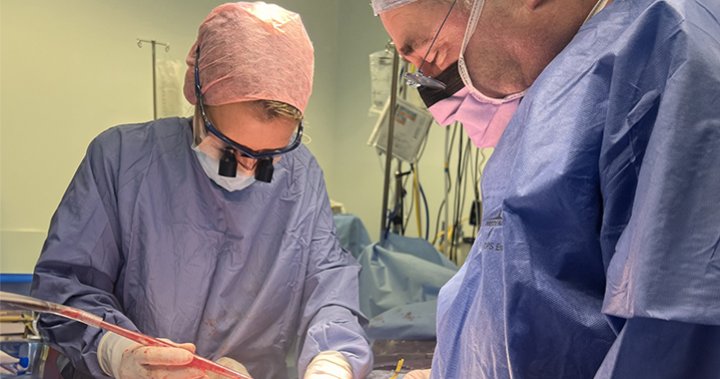 Woman donates her womb to sister in first-ever U.K. transplant - National