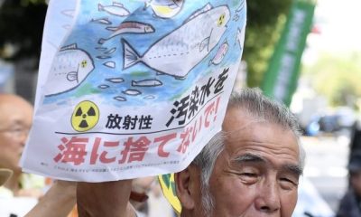 Japan’s release of treated nuclear wastewater sparks fears among neighbours - National