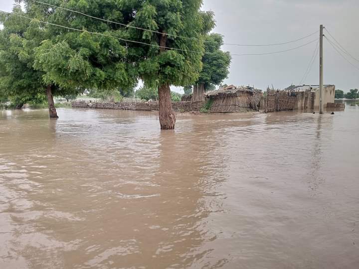 Seven Yobe LGs to be severely flooded in 10 days – Fanfair Forecast predicts