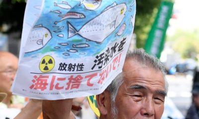 China bans seafood from Japan as Fukushima wastewater release begins - National