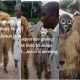 “You’ll go to hell if you don’t stop this” – Pastor preaches to masquerades about Christ
