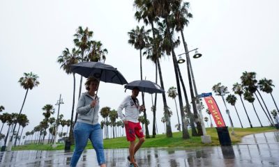 Hurricane Franklin gaining strength, Idalia expected to hit Florida as hurricane - National