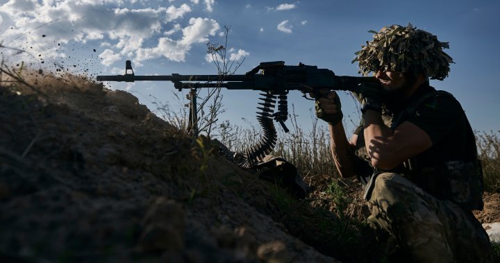 Ukrainian troops liberate strategic southeastern settlement, Kyiv says - National