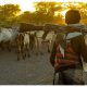 Over 60,000 people killed in farmers-herdsmen crisis– Reps