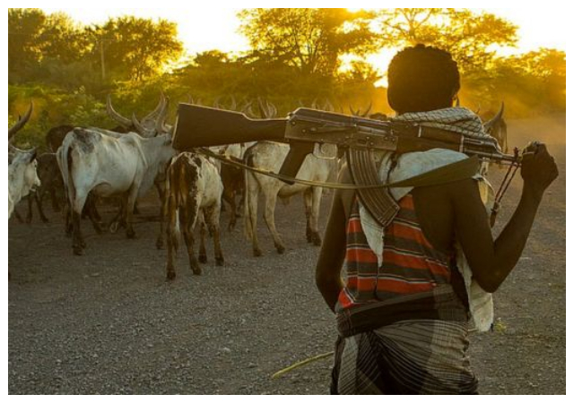 Over 60,000 people killed in farmers-herdsmen crisis– Reps