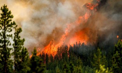Canada's record wildfire season: What's causing the blazes and when will it end?