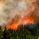 Canada's record wildfire season: What's causing the blazes and when will it end?