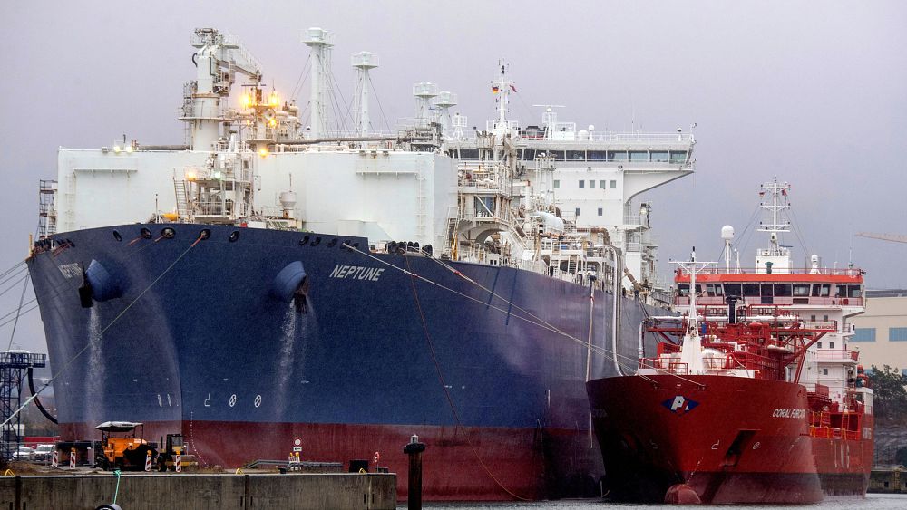 EU is weaning itself off Russian gas despite uptick in LNG imports - European Commission