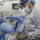 Pig kidney works in donated body for over a month in step toward animal-human transplants