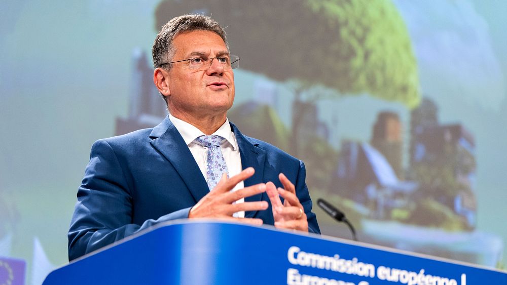 Rolling out the Green Deal will be 'challenging,' warns Maroš Šefčovič, the EU's new climate czar