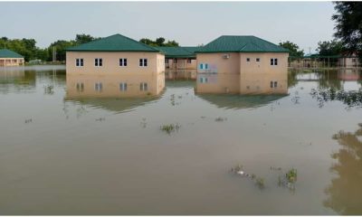 Sapele residents raise alarm as flood wreaks havoc in Delta community