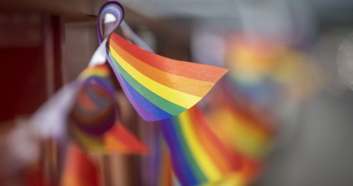 Sask. LGBTQ+ group files lawsuit over government pronoun policy in schools