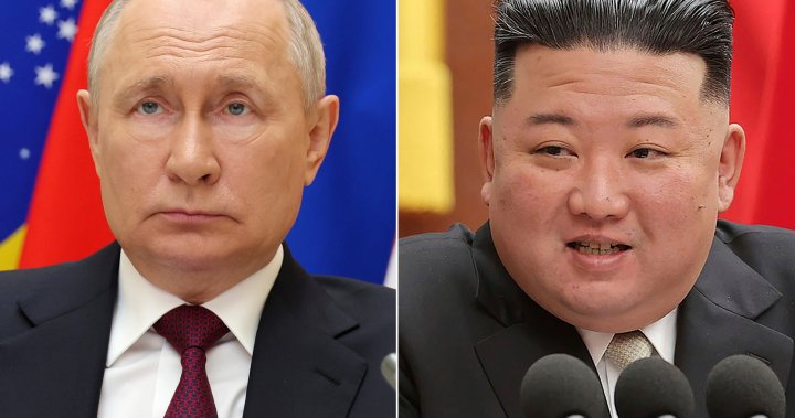 Putin may meet Kim Jong Un later this month, U.S. official says - National