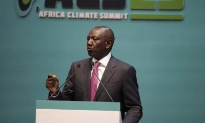 Africa seeks more influence, funding to address climate change at summit - National