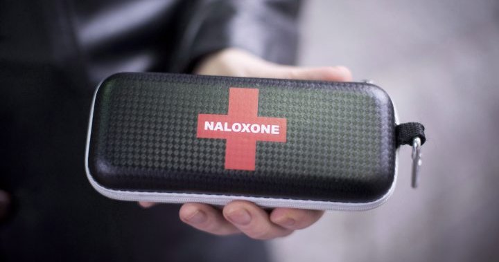 Naloxone kits should be available in nasal spray, injectable version across Canada: panel - National