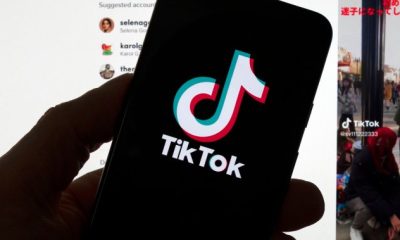 Despite bans, TikTok partnerships plentiful in Canada - National