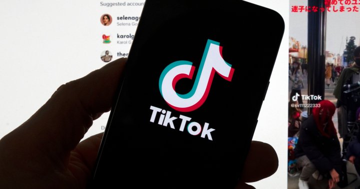 Despite bans, TikTok partnerships plentiful in Canada - National