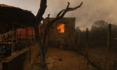 Evros counts the cost of the Greek wildfires that raged for 16 days