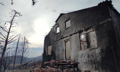 Greek farmers struggle to rebuild after devastating wildfires