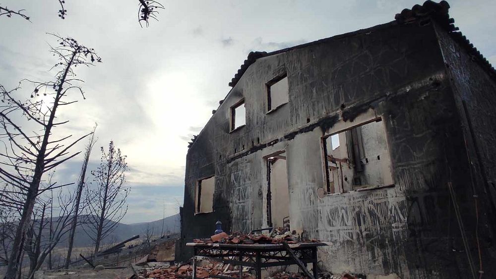 Greek farmers struggle to rebuild after devastating wildfires