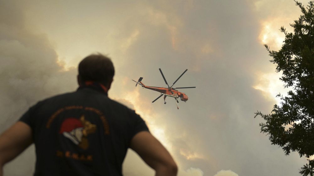 What lessons can Greece learn from this year's raging wildfires?