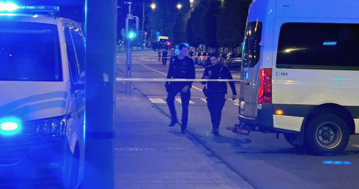 2 Swedes killed in Brussels shooting with ‘possible terrorist motivation’ - National