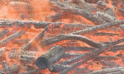 450 piles of wood debris to be burned near Apex Mountain Resort - Okanagan