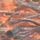 450 piles of wood debris to be burned near Apex Mountain Resort - Okanagan