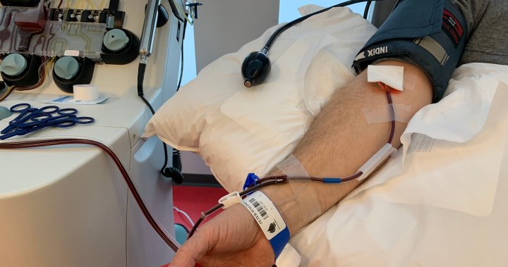 Héma-Québec adding new virtual experience to boost number of blood donors - Montreal