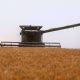Ukraine halts new Black Sea grain corridor due to Russian warplane threat - National