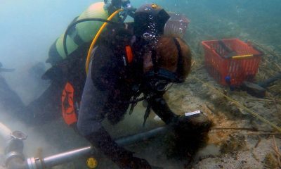 Archaeologists find remains of oldest lakeside settlement in Europe