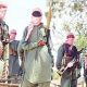 Bandits kill village head, abduct 15 in Niger