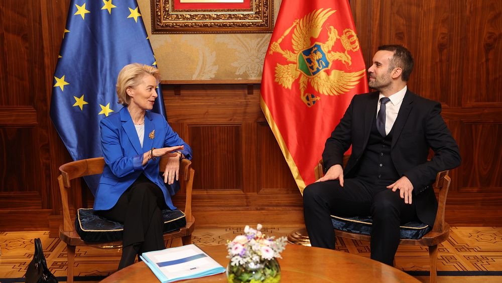 Montenegro ahead in race for EU membership says President Milatović