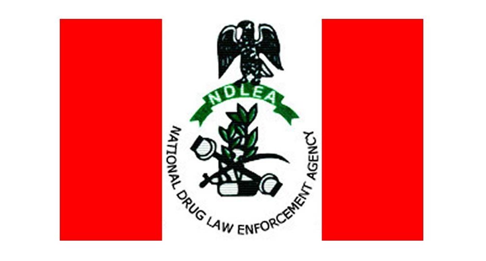 NDLEA seizes N80m worth of drugs, arrests 134 suspects