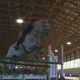 Okanagan equestrian team jumps toward Olympic aspirations - Okanagan