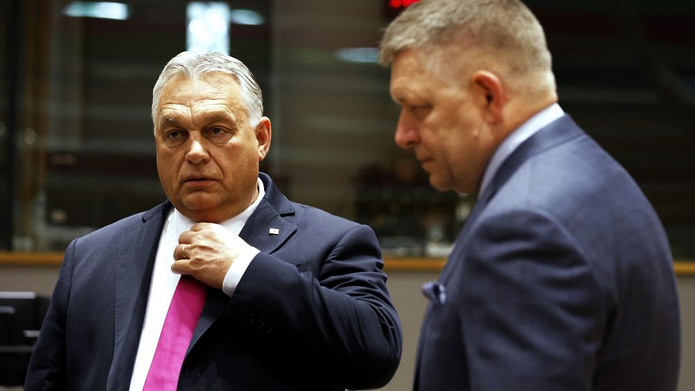 Orbán opposes the EU's €50-billion support plan for Ukraine, while Fico raises corruption concerns