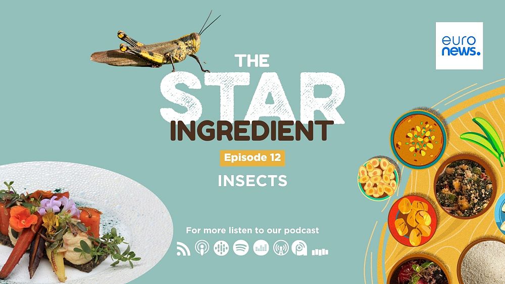 Star Ingredient Podcast | Are edible insects the food of the future?
